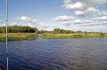 IMG_5451