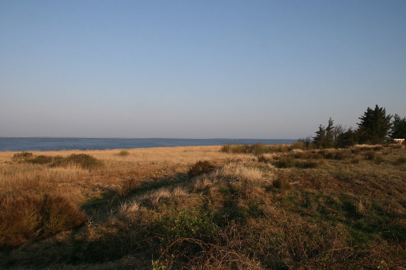 IMG_1450.JPG