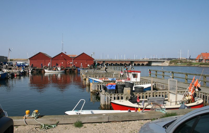 IMG_1505.JPG