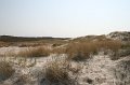 IMG_1404