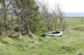 IMG_1411