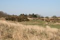 IMG_1417