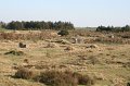 IMG_1443