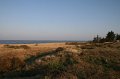IMG_1450