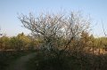 IMG_1460