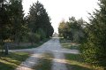 IMG_1461
