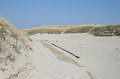 IMG_1466