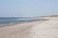 IMG_1474