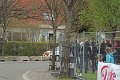 IMG_7393