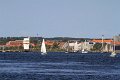 IMG_7390