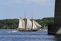 IMG_7427