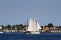 IMG_7451